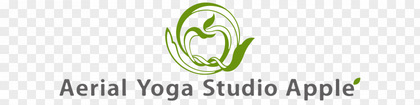 Aerial Yoga Logo Brand Grasses PNG