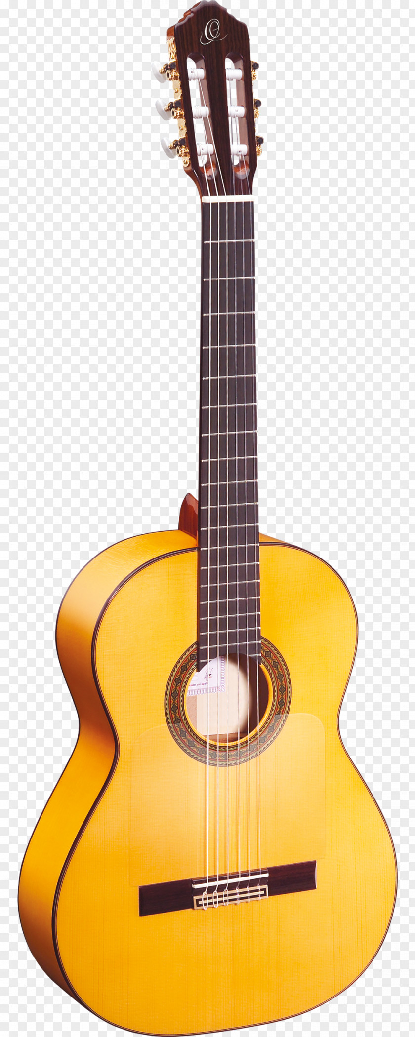 Amancio Ortega Classical Guitar Flamenco Musical Instruments PNG