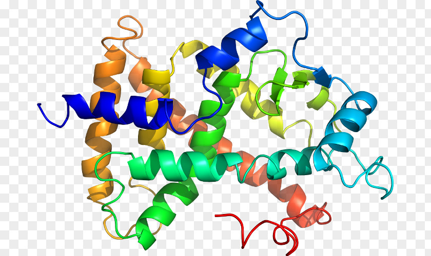 Enzyme Lactoperoxidase Metabolism Biochemistry Protein PNG