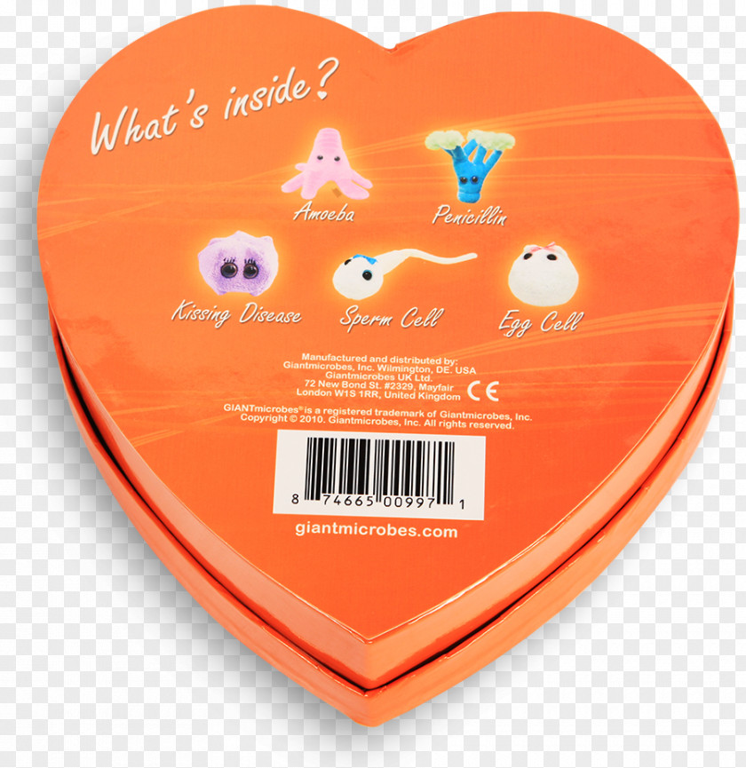 Heart GIANTmicrobes Microorganism Box Gift PNG
