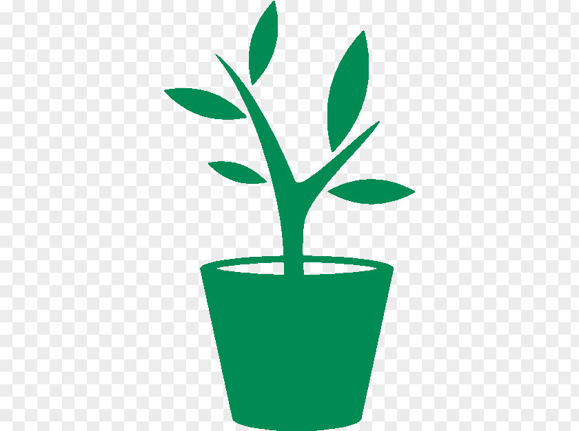 Herb Plant Stem Pot Leaf Cartoon PNG