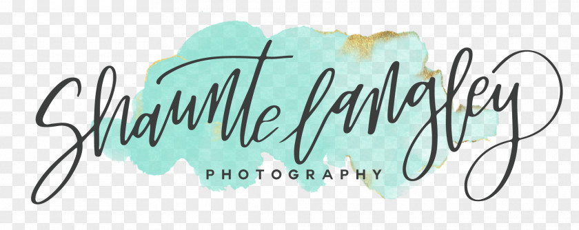 Photography Logo Calligraphy Brand Font PNG
