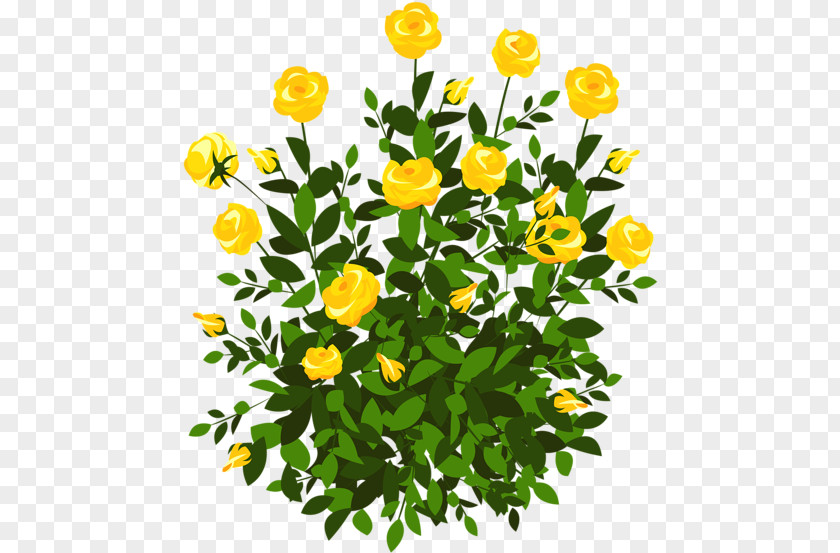 Spring Planting Flowers Clip Art Openclipart Rose Shrub PNG