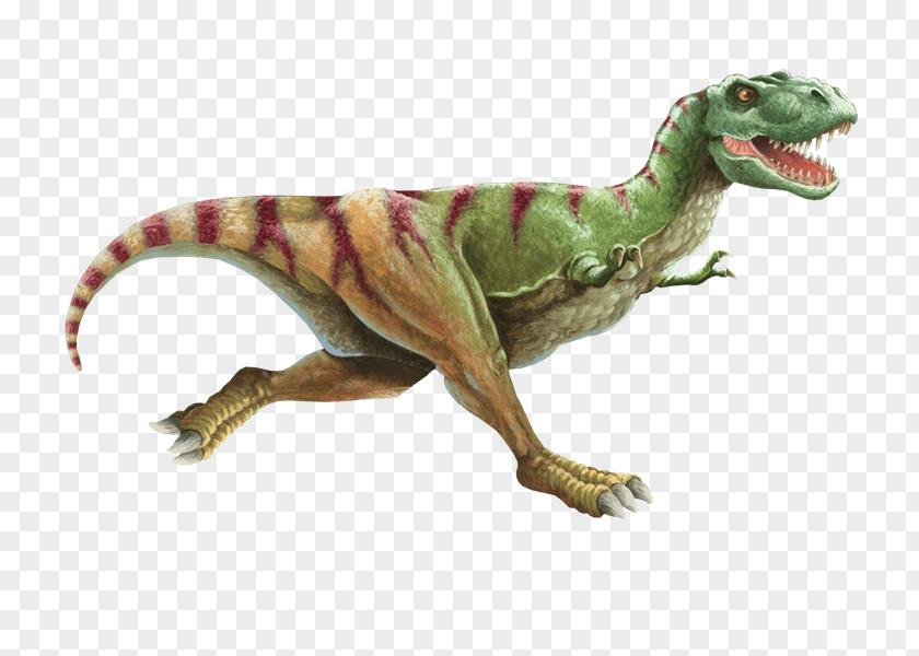 Dinosaur The Dinosaurs Tyrannosaurus Eating Food PNG