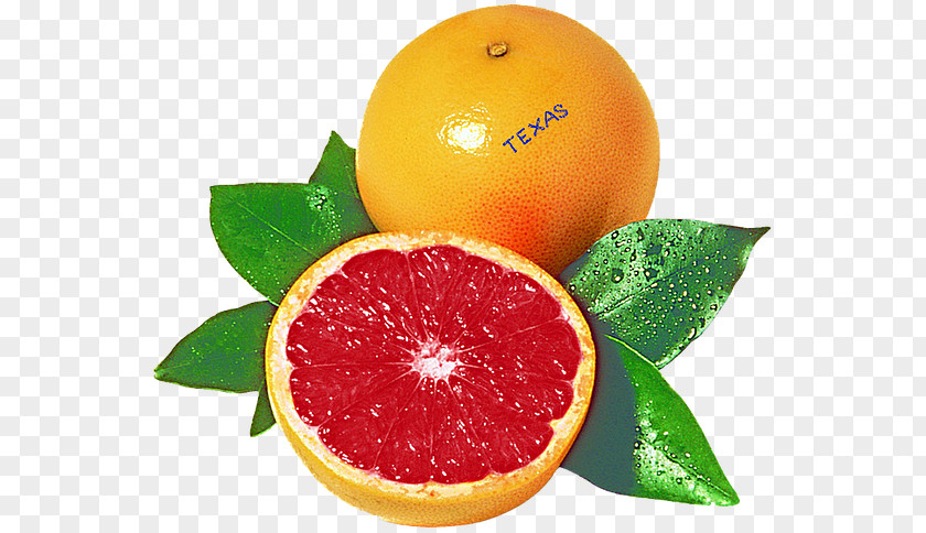 Grapefruit Blood Orange Juice Rangpur Tangelo PNG