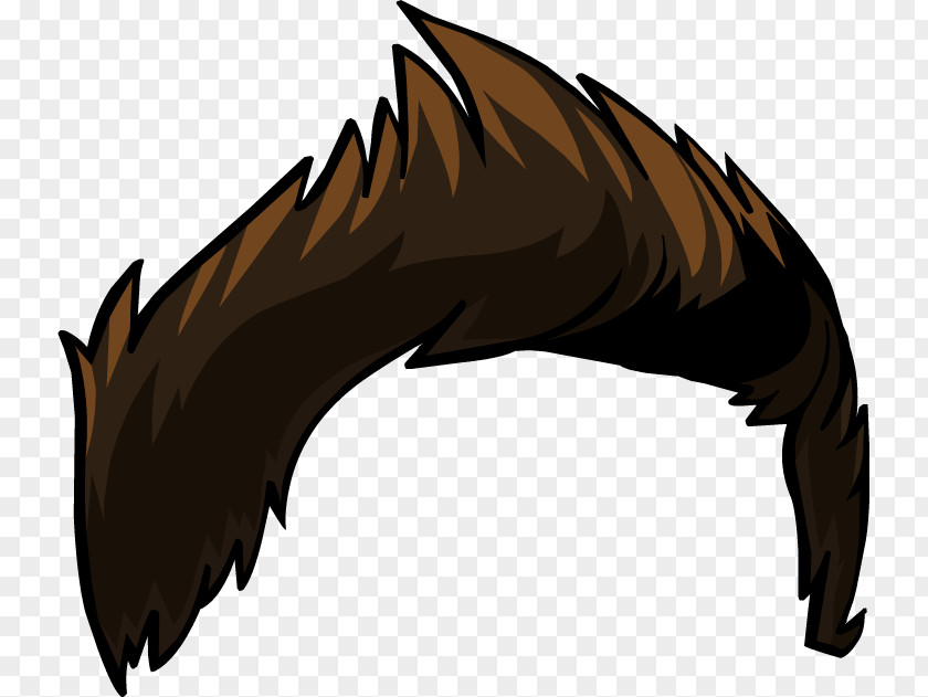 Penguin Club Hair Fur Feather PNG