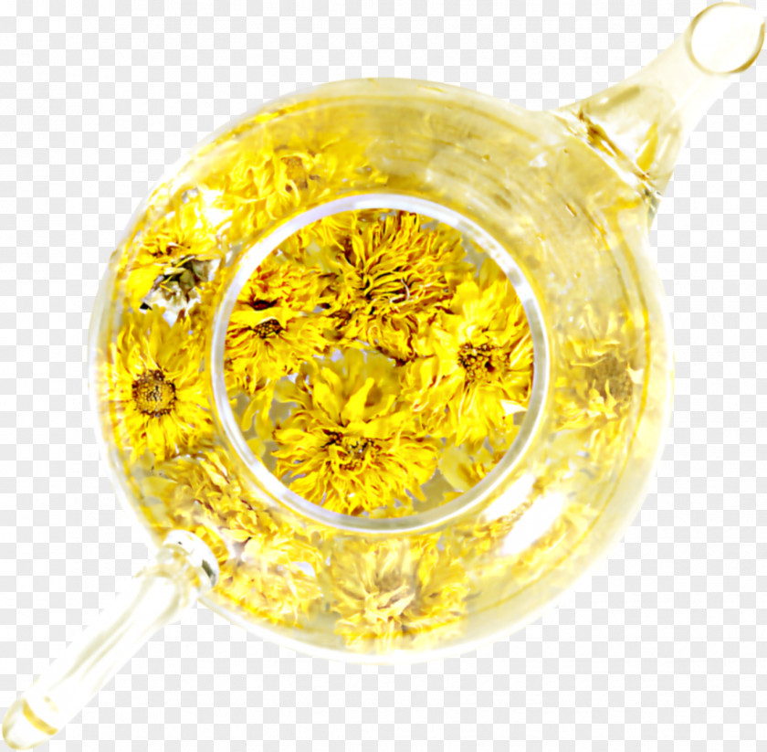 Yellow Chrysanthemum Flower Tea Material Flowering Manzanilla PNG