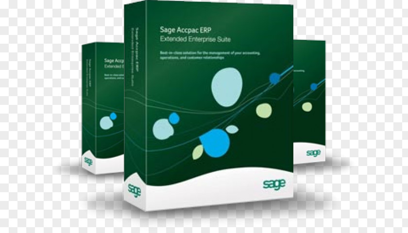 Business Enterprise Resource Planning Computer Software Sage 300 Group PNG