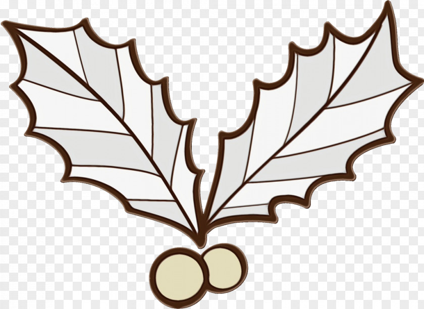 Holly Plant Plane PNG