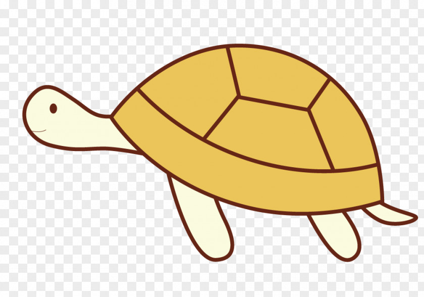 Meng Da Baby Turtles Euclidean Vector PNG