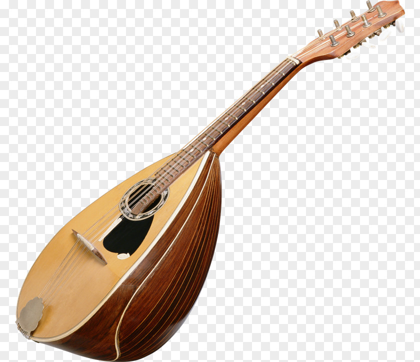 Musical Instruments Mandolin Stock Photography String PNG