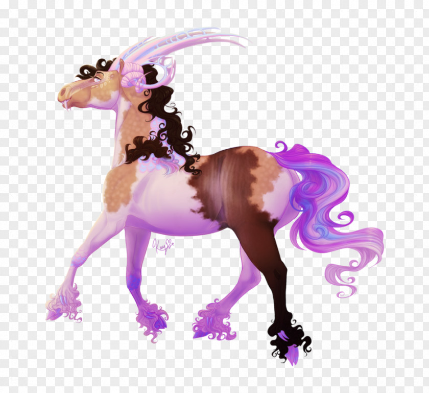 Mustang Stallion Halter Pony Unicorn PNG