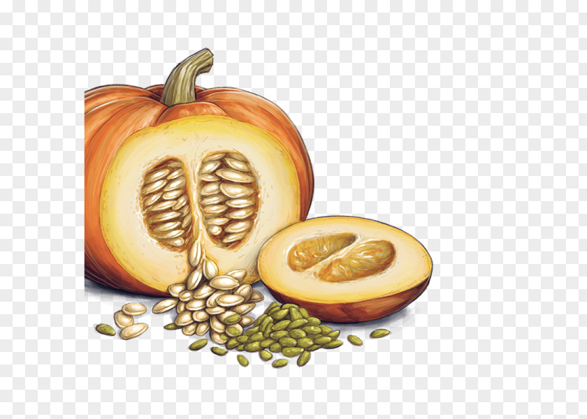 Seeds Pumpkin Bread Squash Soup Pie Seed PNG