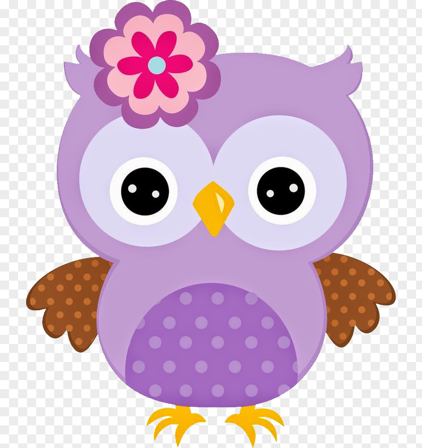 Bird Violet Owl Clip Art Of Prey Pink Purple PNG
