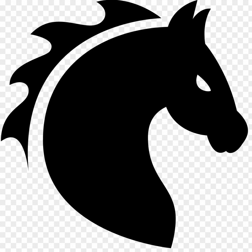 Black-and-white Snout Font Mane Horse PNG