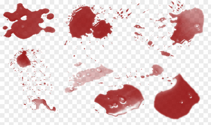 Blood Stain H&O Plant PNG