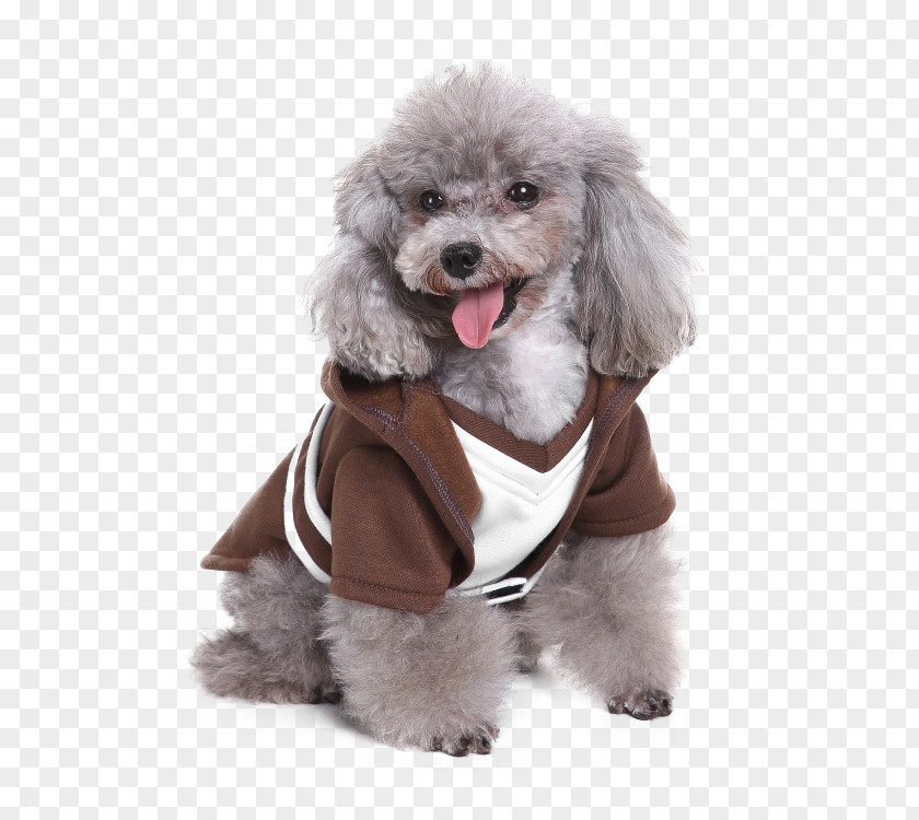 Dog Costume Hoodie Robe Clothing PNG