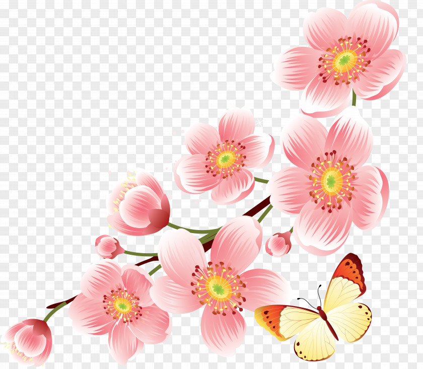 Flowers Cherry Blossom Clip Art PNG