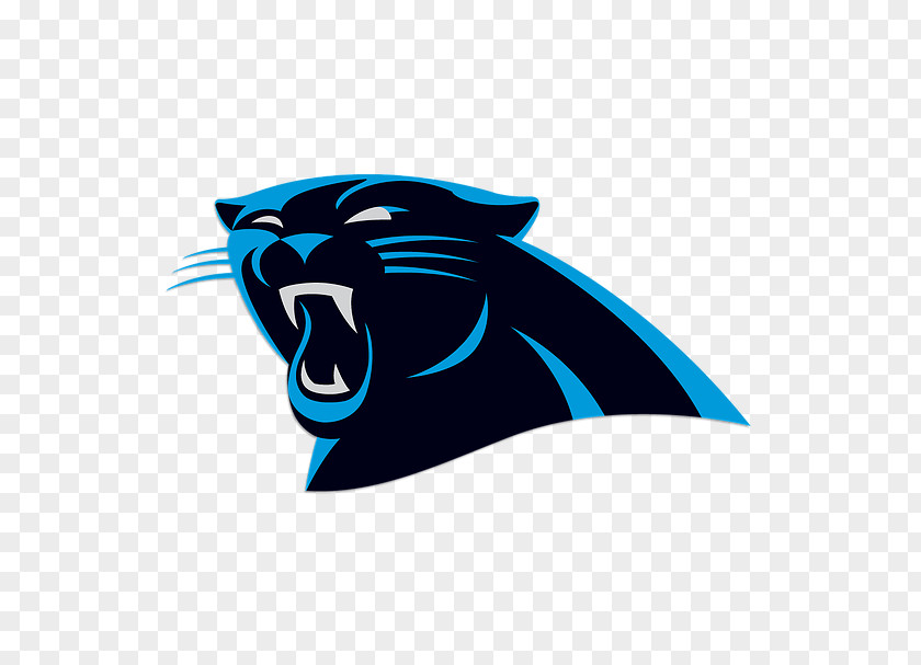 NFL Carolina Panthers Atlanta Falcons Baltimore Ravens Chicago Bears PNG