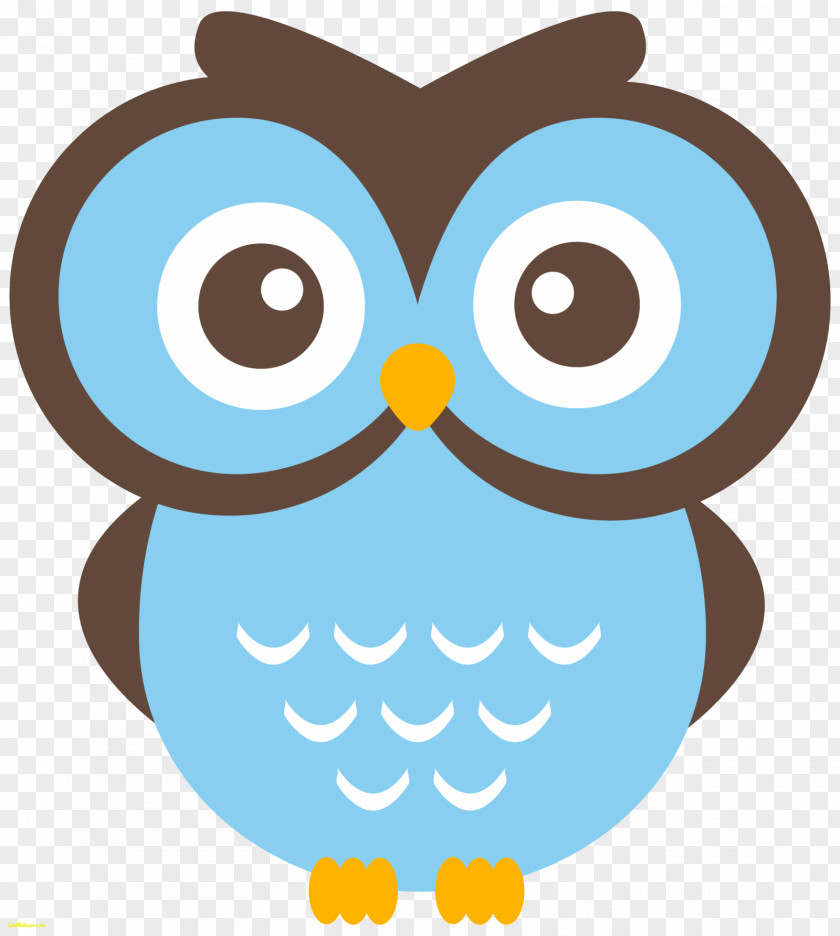 Owl Mathematics Clip Art PNG