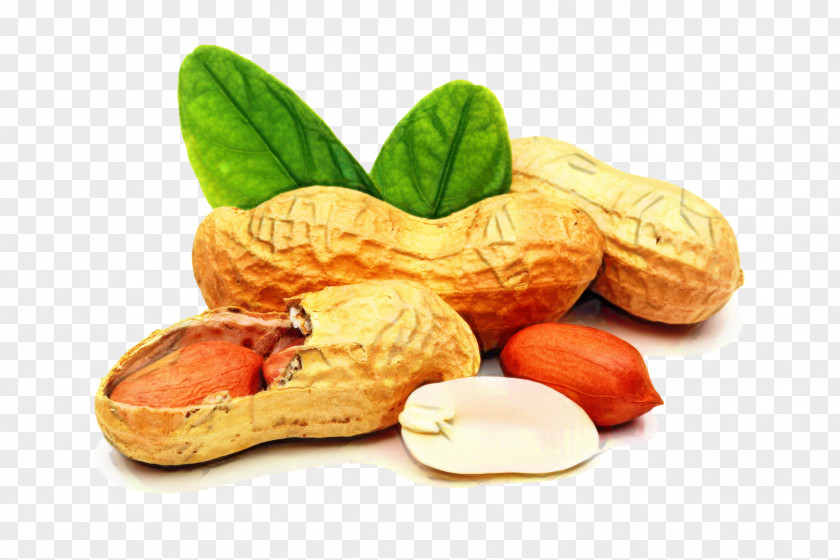 Cuisine Nuts Seeds Fruit Cartoon PNG