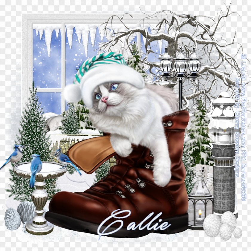 Puss In Boots Cat Blog LiveInternet Animal Carnivora PNG