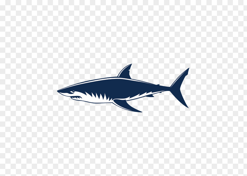 Shark Vector Free Download Requiem Sharks Great White Jaws PNG