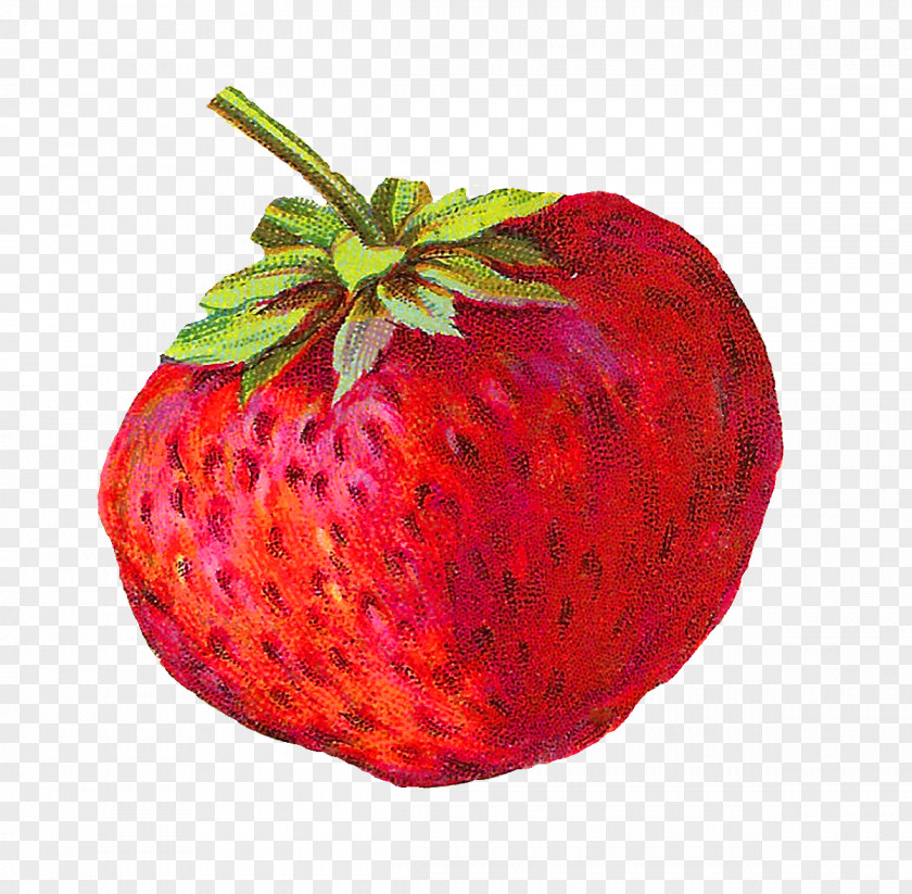 Strawberry Food Fruit PNG