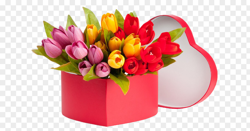 Tulip Totally Tulips Flower Bouquet Cut Flowers PNG