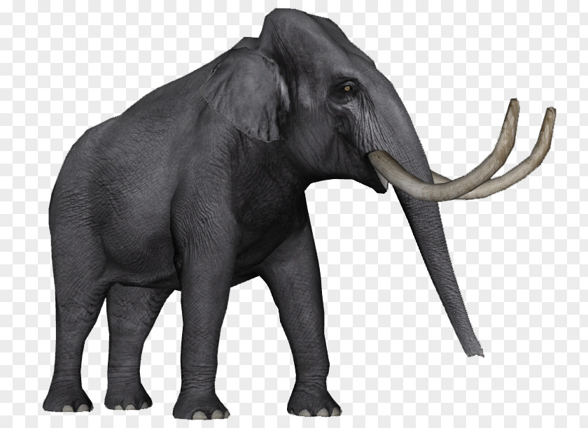 Asian Elephant African Zoo Tycoon 2 Elephantidae Elephas Hysudrindicus PNG