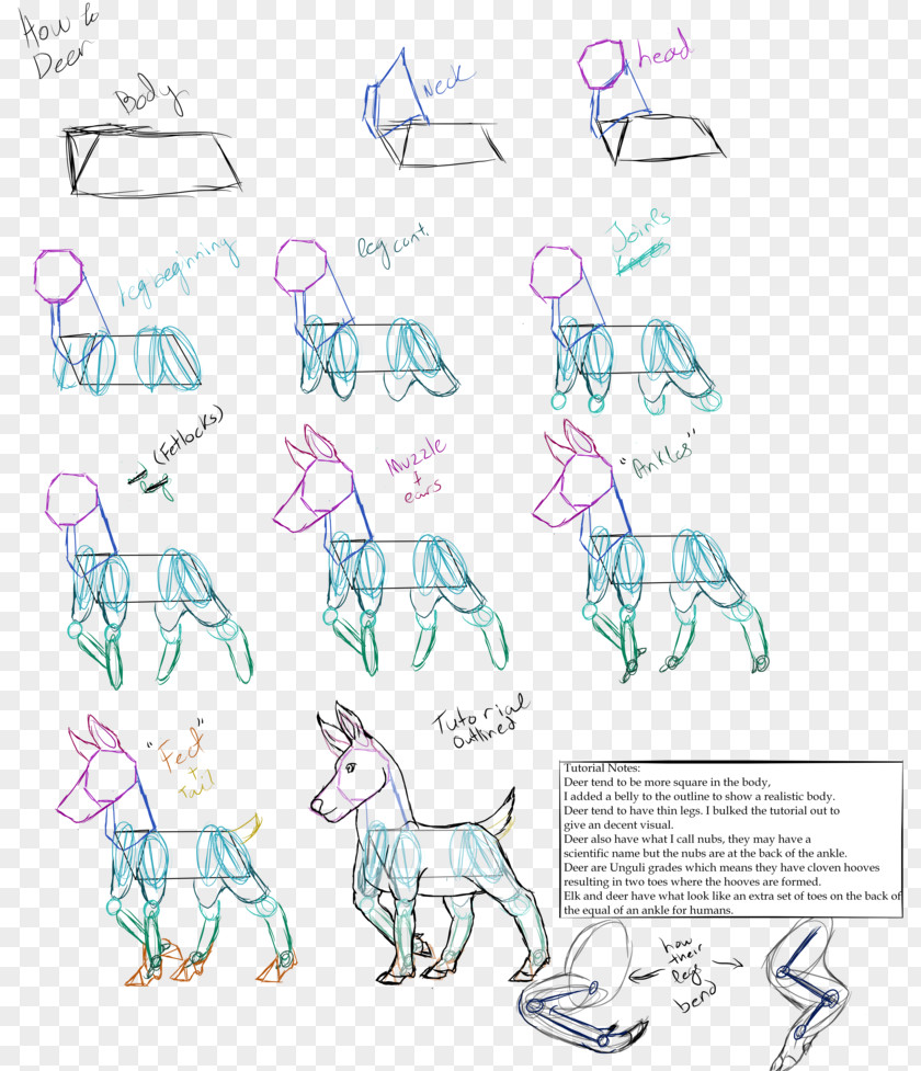 Baldi's Basics Deviantart Canidae Line Art Mammal Sketch PNG