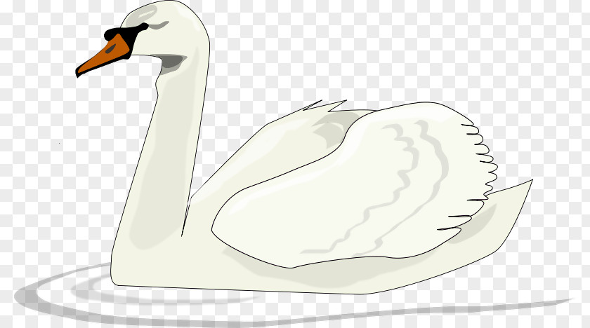 Cartoon Swan Black Lake Clip Art PNG