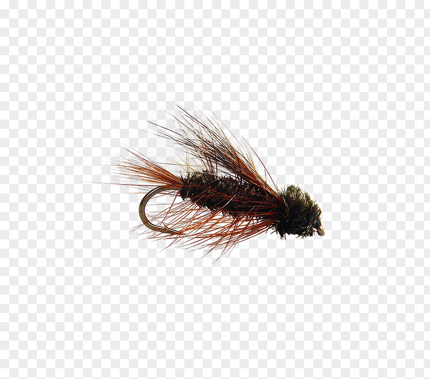 Fly Tying Artificial Fishing Insect PNG