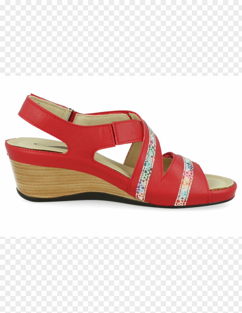 Sandal Flip-flops Shoe ZAPATA Footwear PNG