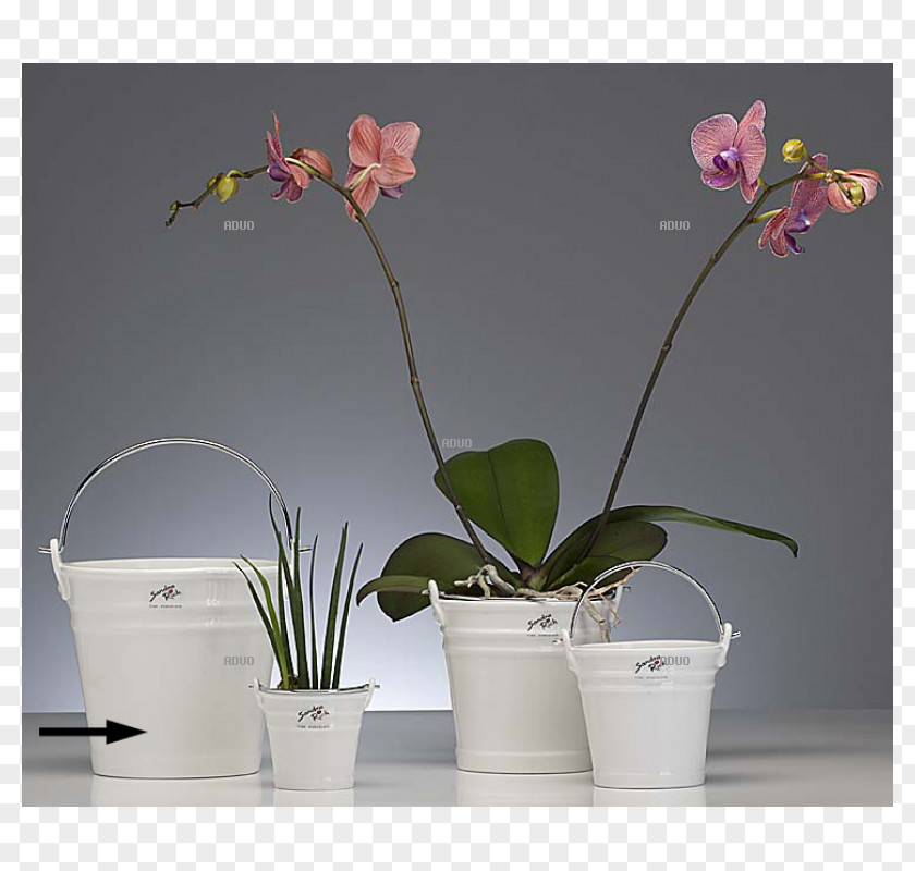 Bucket Flowerpot Porcelain Plate Cone PNG