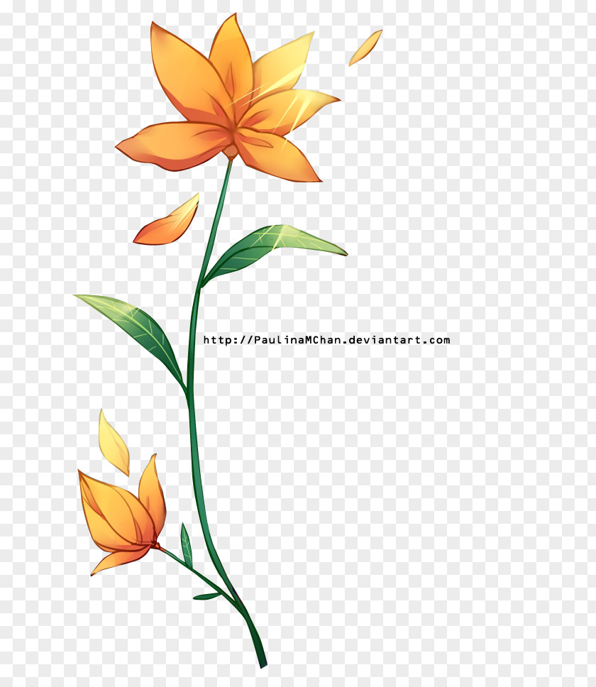 Flor Flower Rendering Floral Design PNG