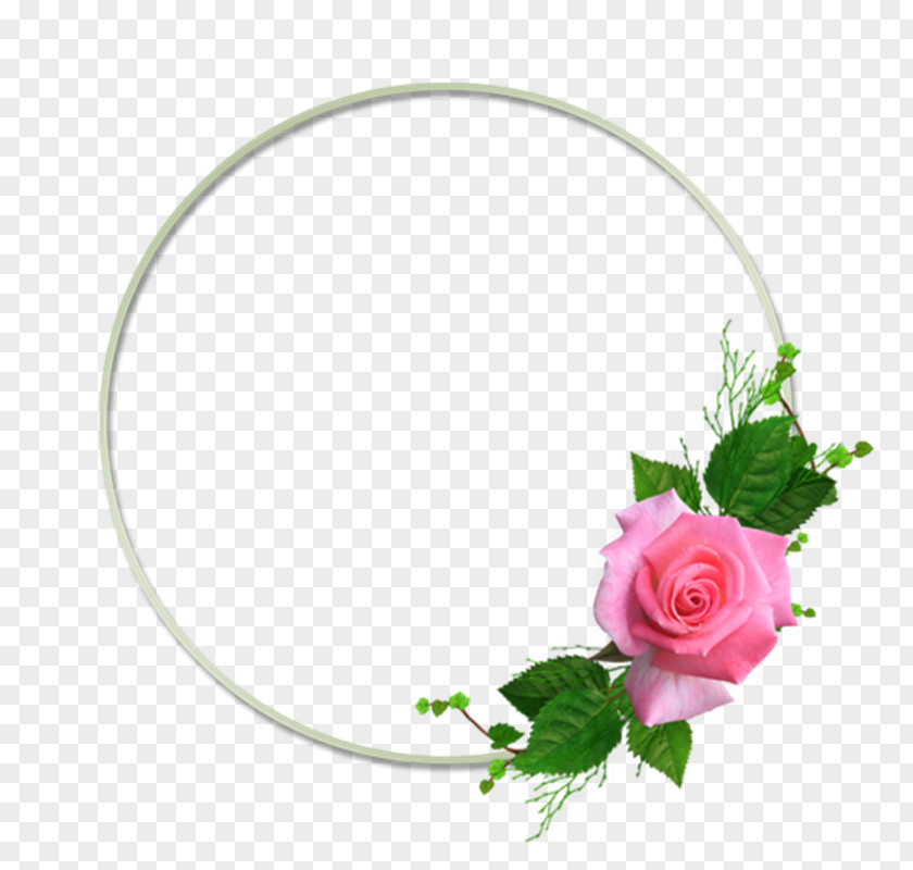 Flower Garden Roses Picture Frames Floral Design PNG