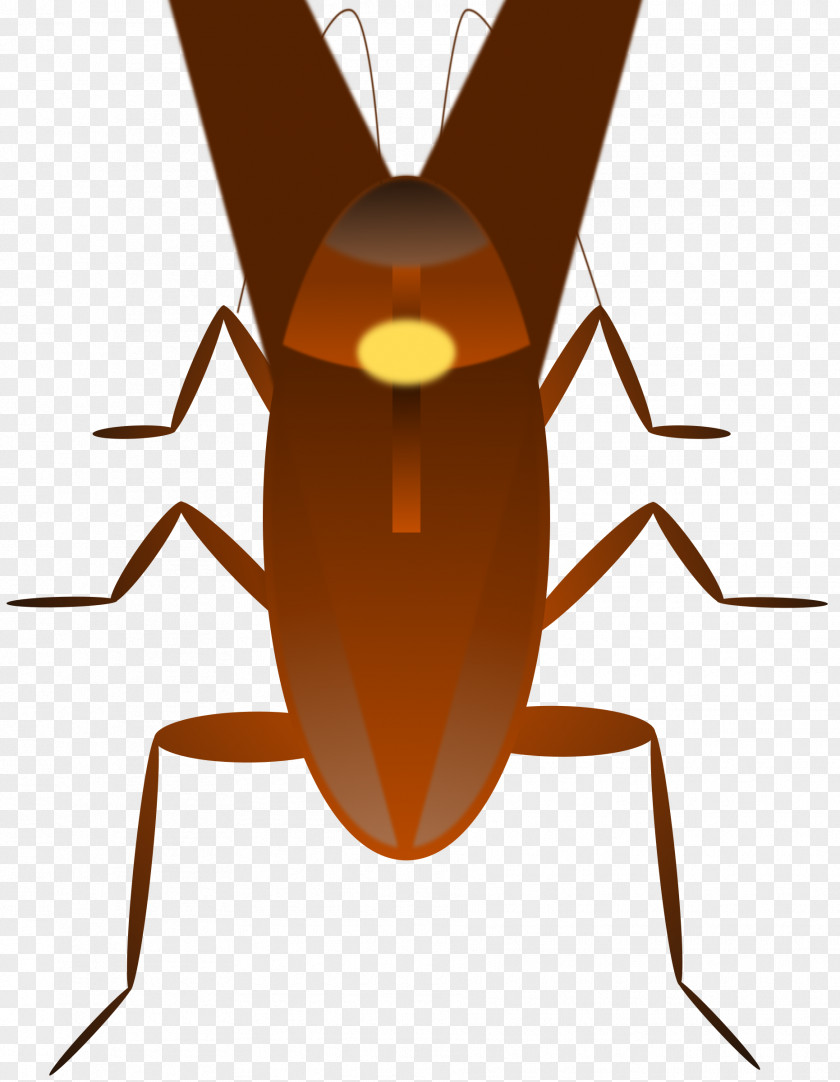 Roach Dr. Cockroach Insect Clip Art PNG