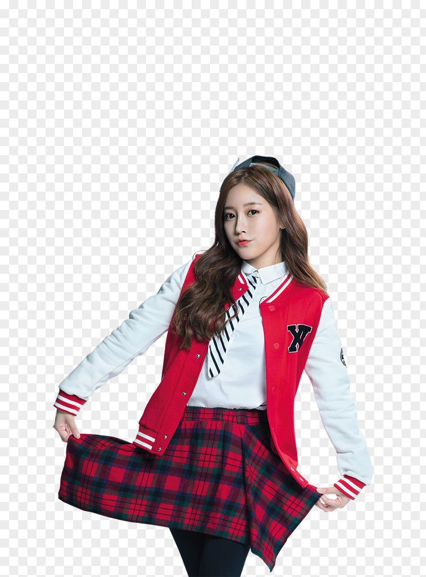 Tartan Outerwear Sleeve Costume PNG