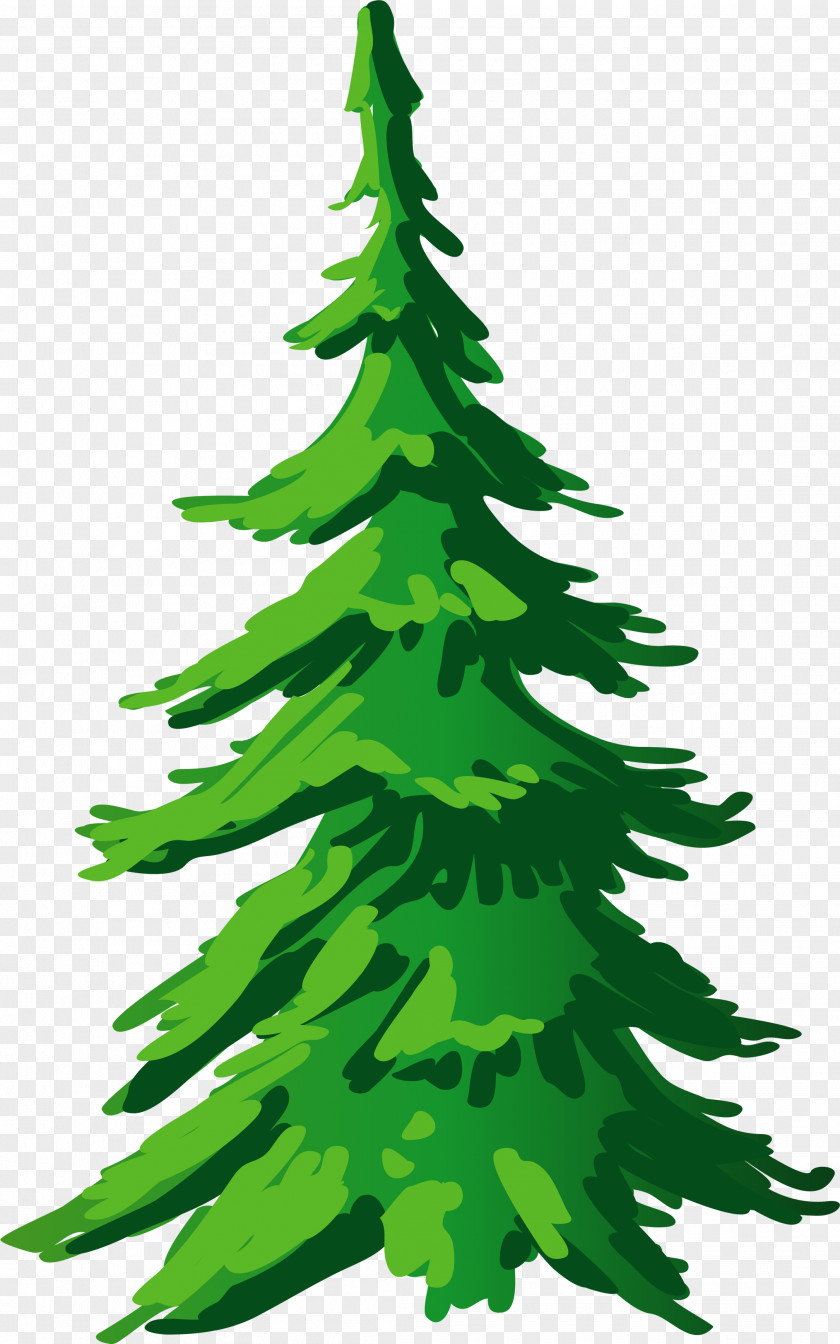 Christmas Tree Spruce Pine Fir Clip Art PNG