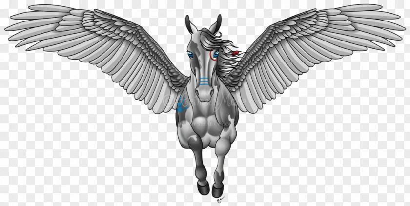 Pegasus Medusa Tattoo Project Nike Perseus PNG