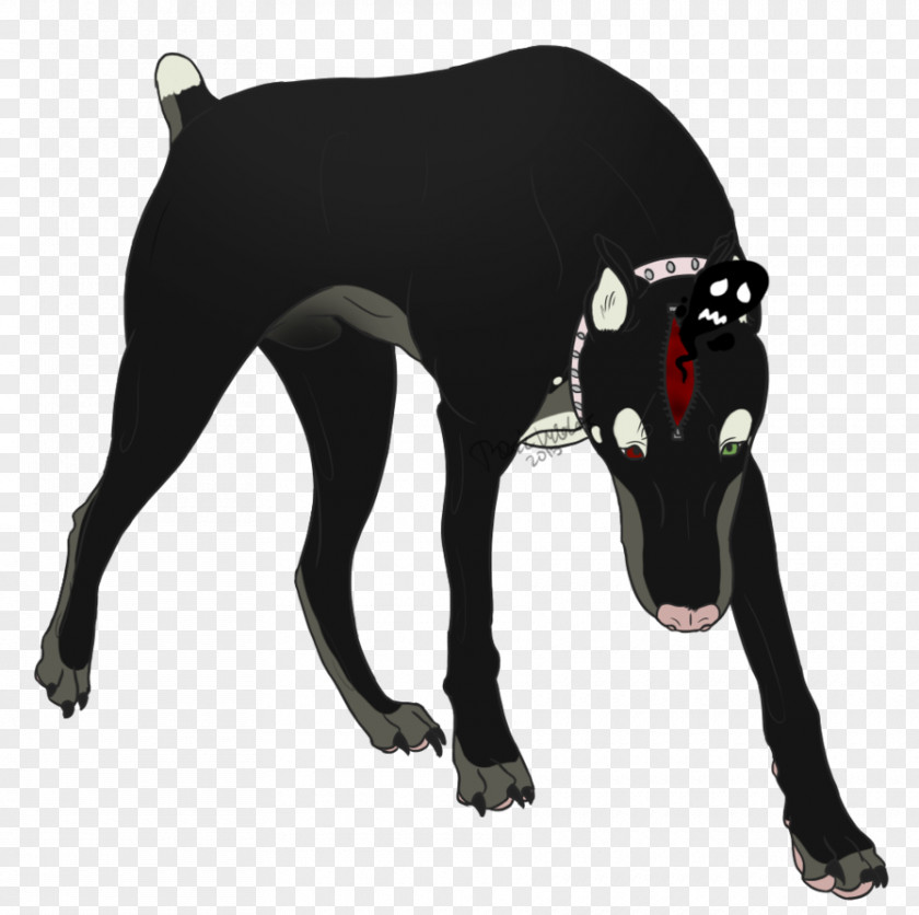 Poodle Italian Greyhound Dog Breed Mammal Canidae PNG