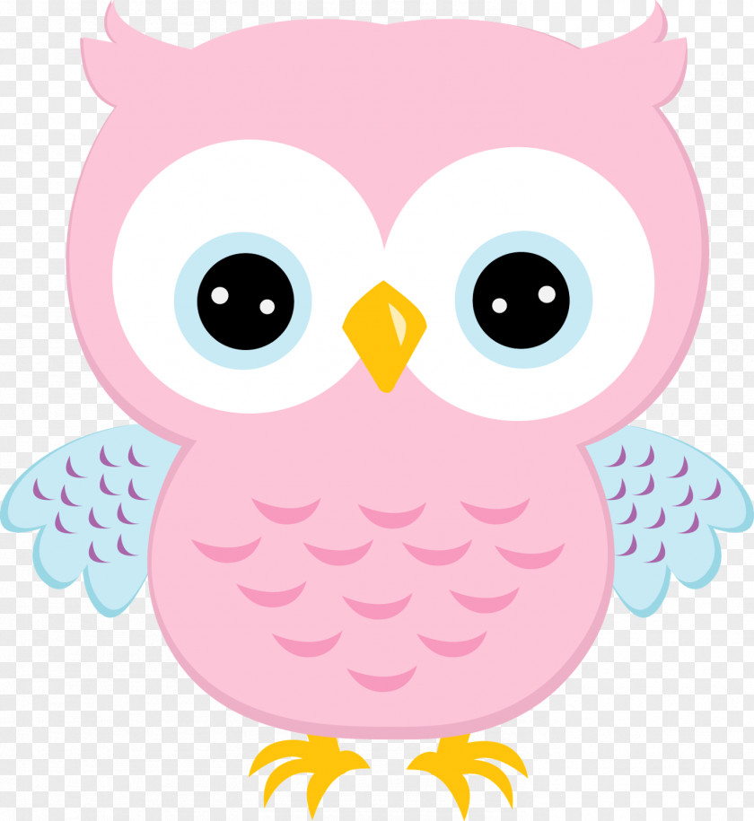 Print Poster Little Owl Free Clip Art PNG