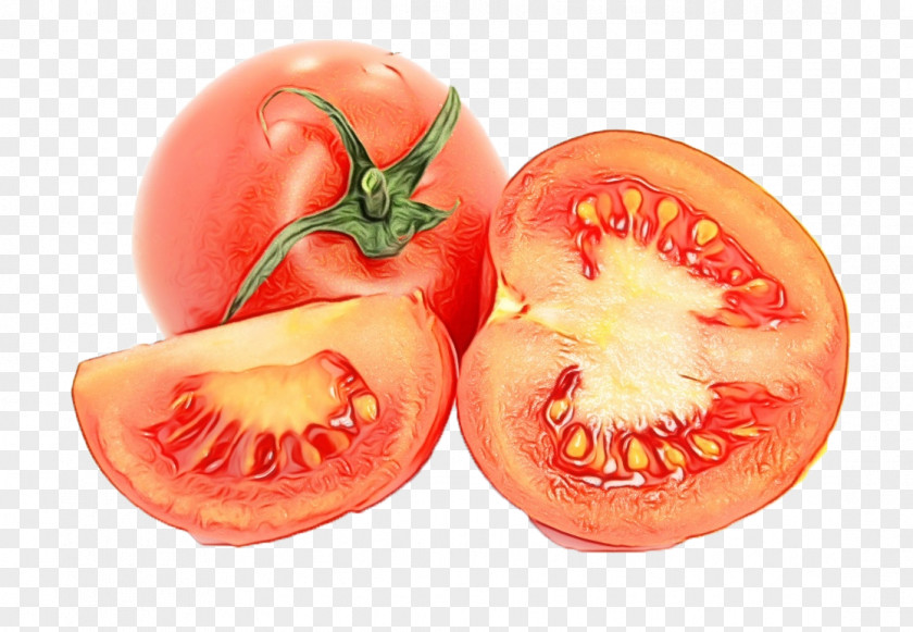 Bush Tomato Nightshade Family PNG