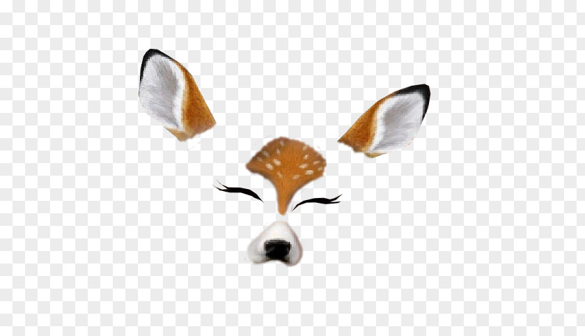 Cat Snapchat Sticker Deer Felidae PNG