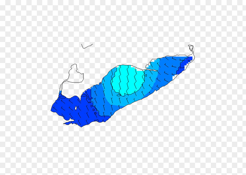 Design Marine Mammal Turquoise PNG