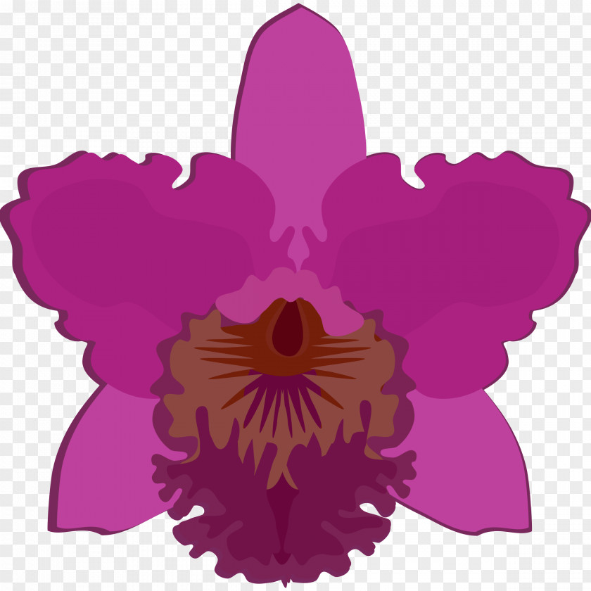 Flower Clip Art Orchids Drawing Openclipart PNG