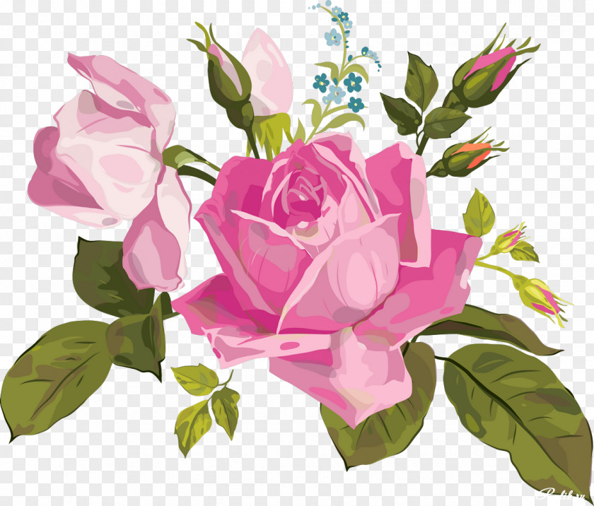 Flower Cut Flowers Garden Roses Floral Design PNG