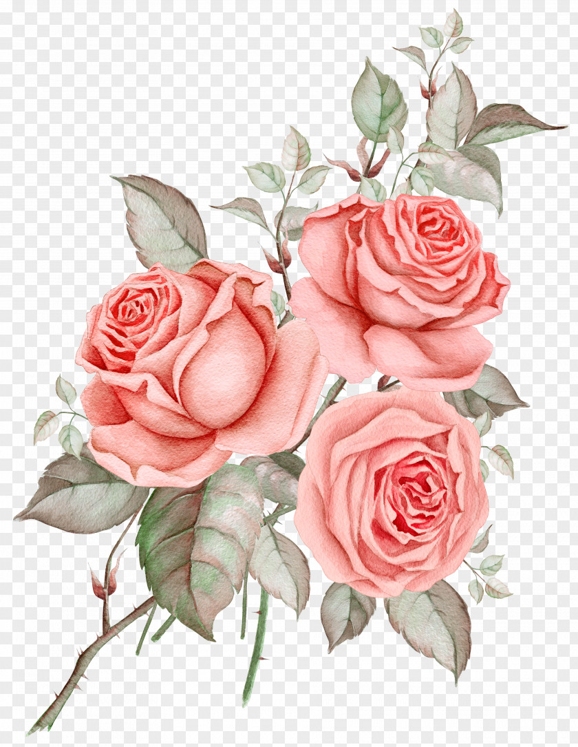 Flowers Decorated PNG decorated clipart PNG