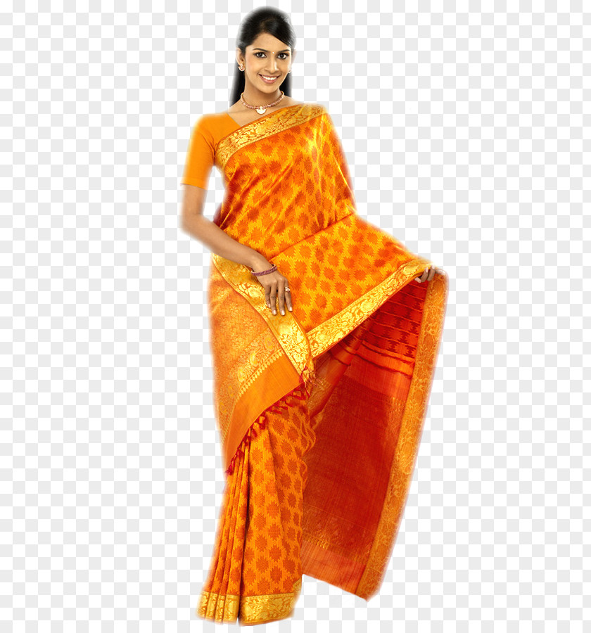 India Robe Clothing Fashion Sari PNG